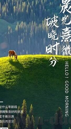 乐鱼体育电脑版-乐鱼体育电脑版，打造极致体育体验
